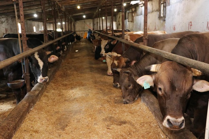 Umut Kervanı, kurban organizasyonu için hazırlıklarını tamamladı