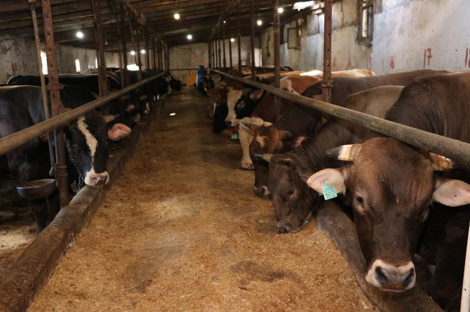 Weqfa Karwana Hêvîyê amadehîyên serjêkirina qurbanan temam kir