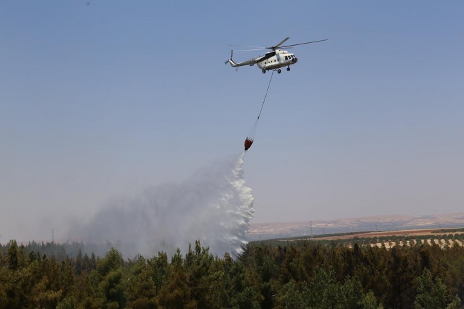 Gaziantep'te orman yangınları
