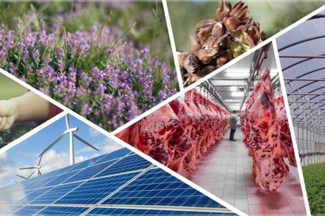 Kırsal kalkınma yatırımlarına hibe desteği verilecek