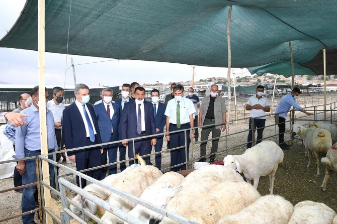 Malatya Vali Baruş Hayvan Pazarında incelemelerde bulundu