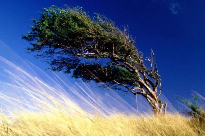 Meteorolojiden kuvvetli rüzgâr uyarısı