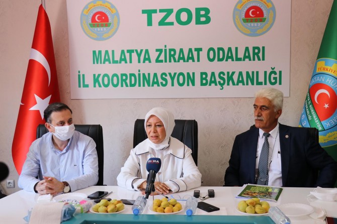 Malatya'da TMO'nun kayısı alımı başlıyor