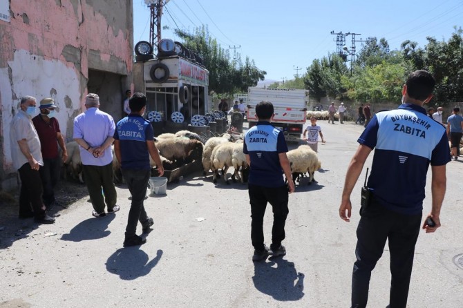Van’da kurbanlık satışı ve seyyar denetimi