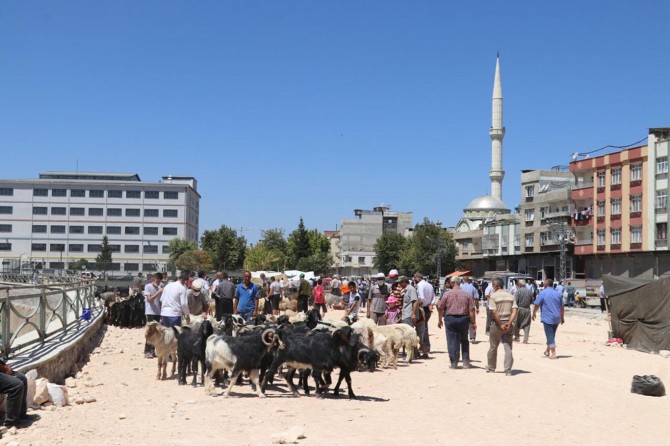 Kurban pazarlarında arefe günü hareketliliği yaşanıyor
