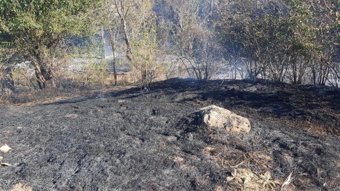 Mahallede çıkan yangın korkuttu