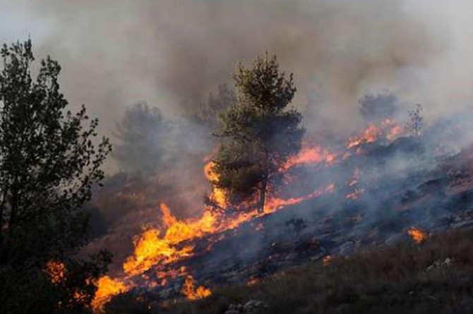 "Ekini ve nesli tahrip eden" siyonist işgalciler, El-Muğayyir'de 14 dönüm araziyi yaktı