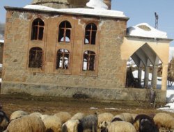 Camiyi Ahır Olarak Kullanıyorlar