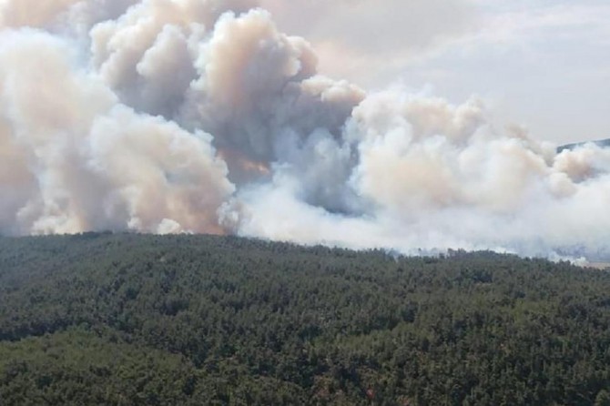Malatya’da orman yangınları ile mücadelede yeni kararlar alındı