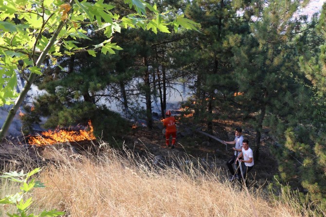 Ankara'da orman yangını