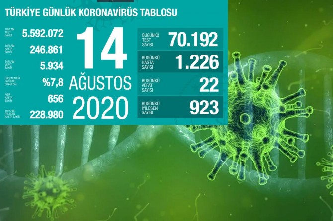 Türkiye'de Covid-19'dan 22 kişi daha hayatını kaybetti, 1226 yeni tanı kondu