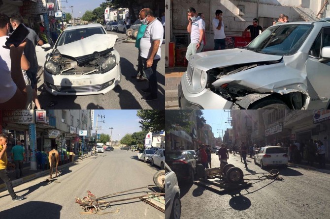 Ürken at Nusaybin çarşı merkezini birbirine kattı