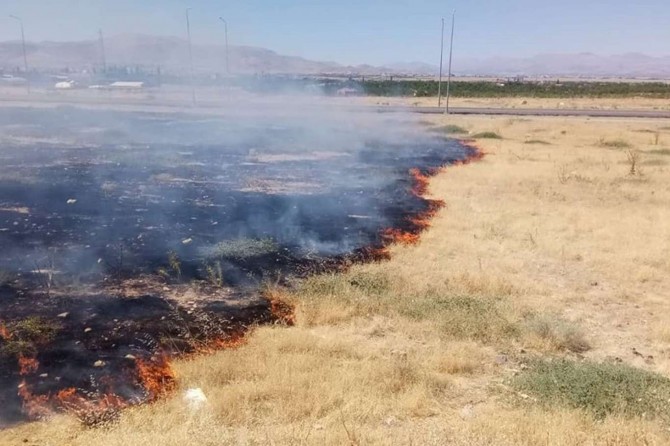 Söndürülmeyen sigara izmaritleri birçok canlının hayatına mal oluyor