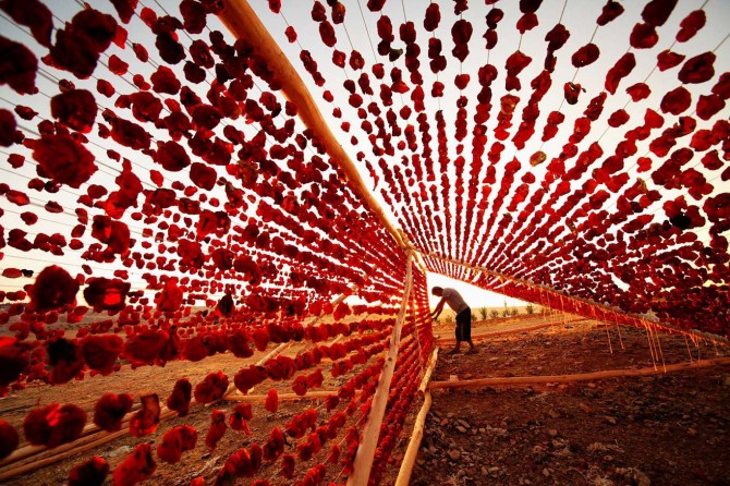 Kurutmalık sebzeler dünya mutfaklarının tercihi oldu