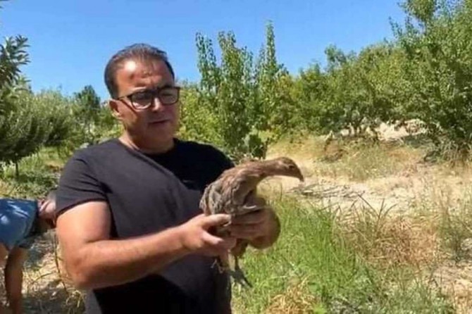 Samsat'ta sülünler doğaya salındı
