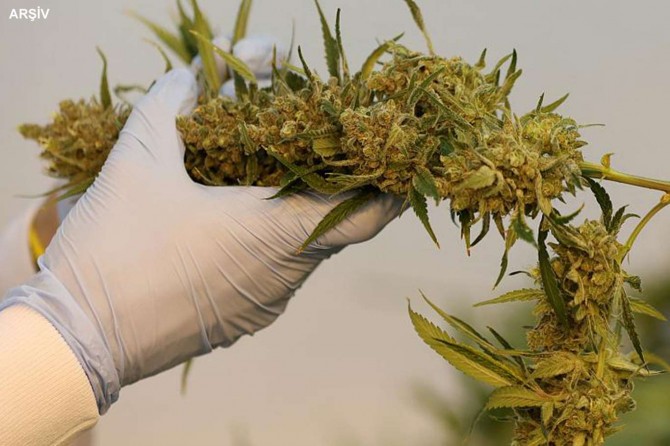 Tunceli'de 10 kilogram esrar ele geçirildi