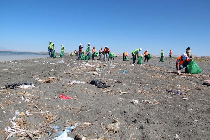 Van Gölü sahilinden 28 ton çöp toplandı