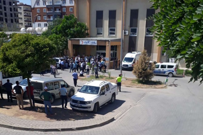 Li Êlihê zilamê ku bi ceyranê ve ma canê xwe ji dest da