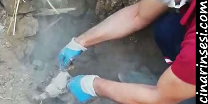 Batman'da yıkılan metruk evden yavru köpekler kurtarıldı