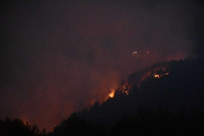Adana'da ormanlık alanda yangın