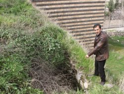 Cizre'de kemik iddiaları savcılığı harekete geçirdi