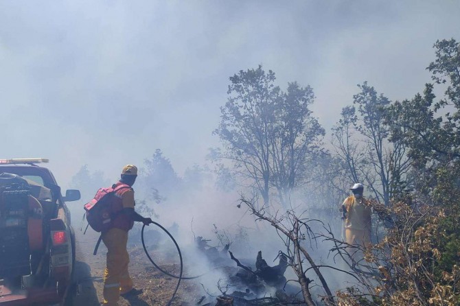 Adana’da çıkan orman yangını kontrol altına alındı