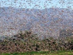 İsrail'i korkutan esrarengiz olay!