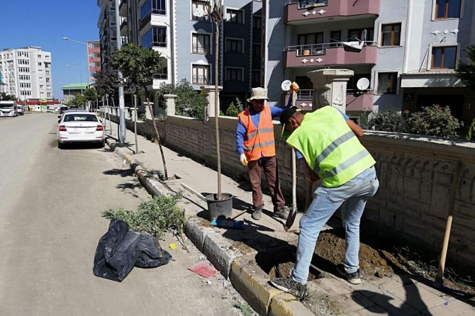 Van’da kaldırım çalışmaları devam ediyor