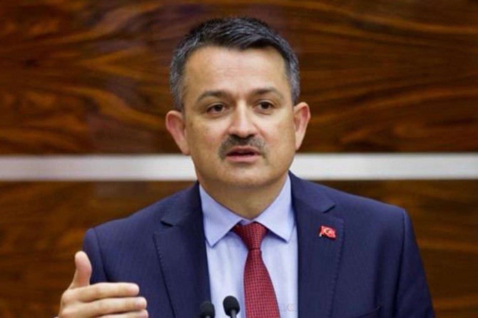 Pakdemirli: "Denizli'nin Çardak ilçesindeki yangın tamamen kontrol altına alındı"