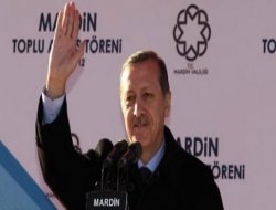 Erdoğan Diçe Tilloyê