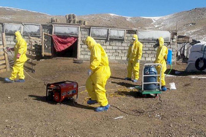 Moğolistan'da veba alarmı: Bir bölge karantina altına alındı