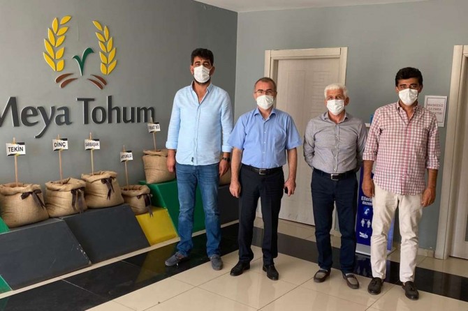 Diyarbakır'da gelecek yıl için 150 bin ton sertifikalı tohum üretilmesi planlanıyor