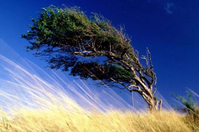 Meteorolojiden "kuvvetli" rüzgâr ve sağanak uyarısı