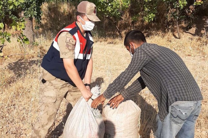 ​Siirt'te fıstık bahçelerinde hırsızlık yapan 11 şüpheli yakalandı
