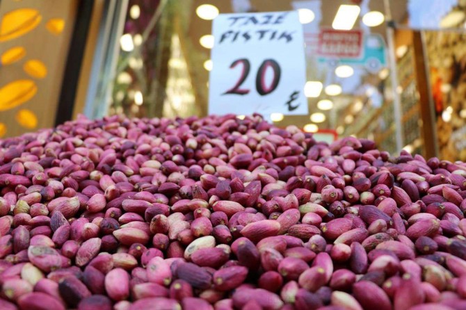 ​Antep fıstığı üreticileri fiyatlardan memnun değil