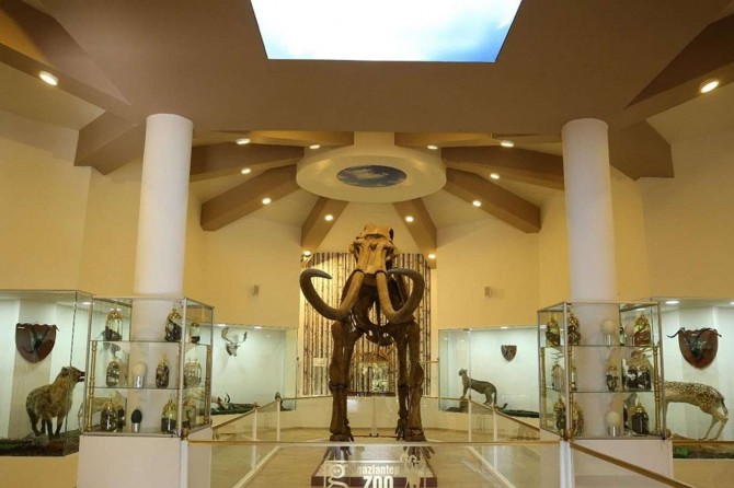 Türkiye genelinde müze sayısı 2019 yılında yüzde 3,5 artarak 467 oldu