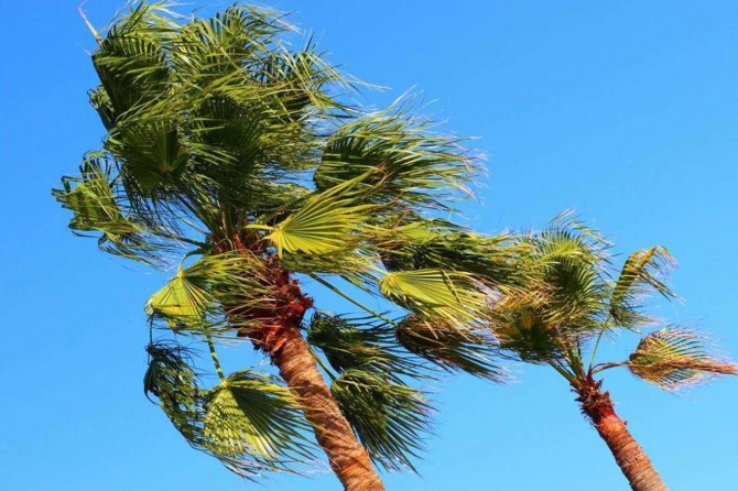 Meteorolojiden Marmara ile Kıyı Ege için "kuvvetli" rüzgâr uyarısı