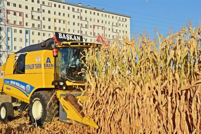 Vali Şahin: “Batman ekonomisi şu anda tarımla yürüyor”