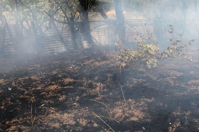 Kovancılar'da çıkan yangında iki bahçe yandı