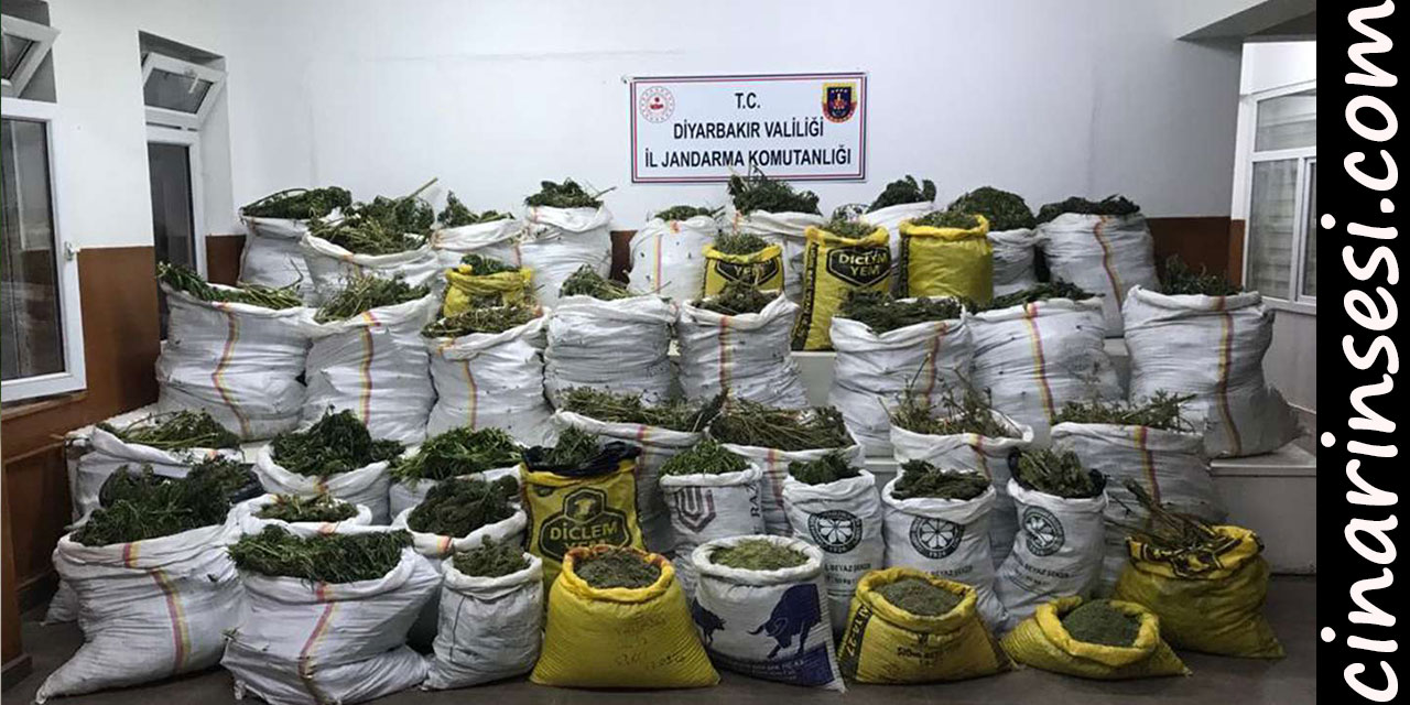Lice'de 669 kilo esrar ile 510 bin kök kenevir bitkisi ele geçirildi