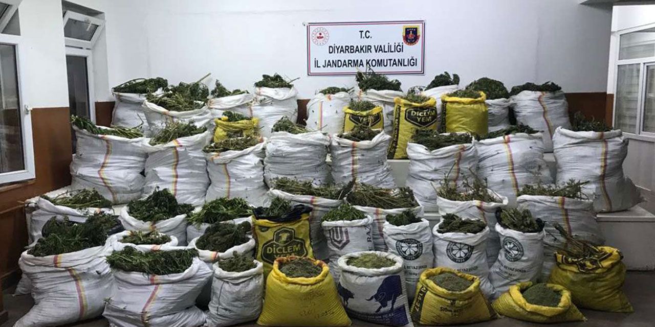 Li Diyarbekirê 669 esrar û 510 hezar kok kenewîr hat bidestxistin