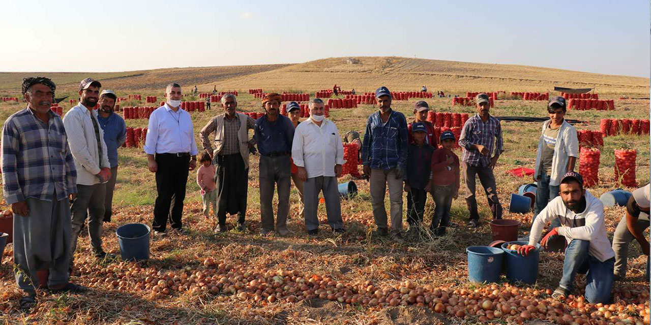 HÜDA PAR Ankara İl Başkanı Uşar, mevsimlik işçileri tarlada ziyaret etti