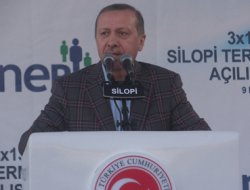 Erdoğan termik santral tepkisine sert çıktı