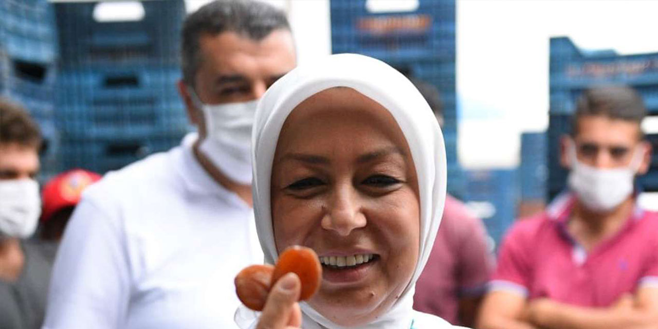 TMO kayısı alımına başlıyor