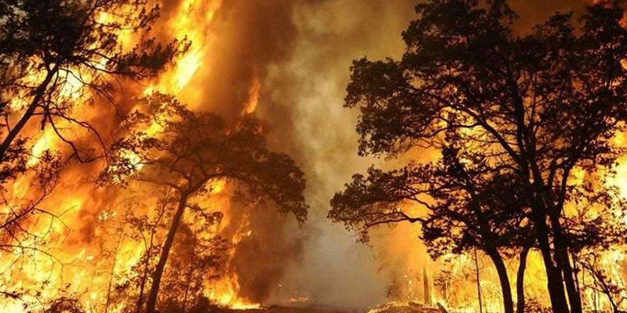 At least 35 die in wildfires in the three U.S. West states