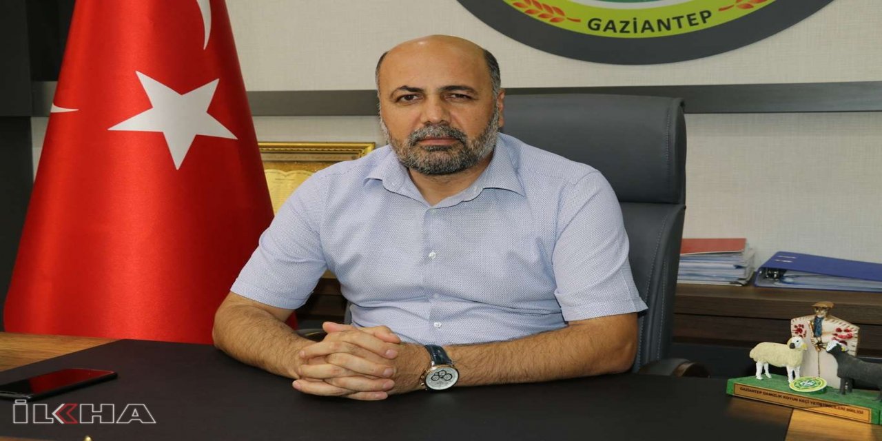 Gaziantep’te küçükbaş hayvan sayısını arttıracak proje geliştirildi