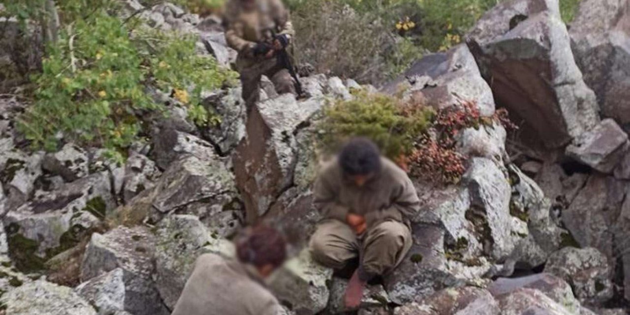 Iğdır'da 2 PKK'li teslim oldu