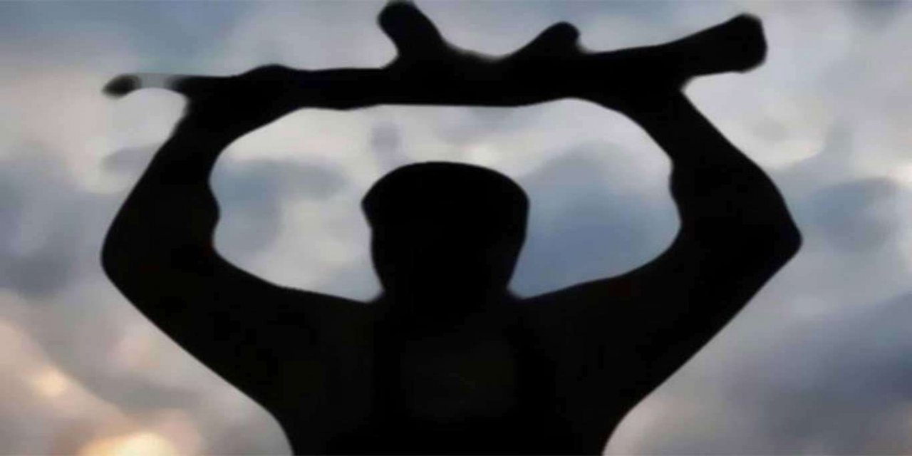 Van'da bir PKK'li teslim oldu