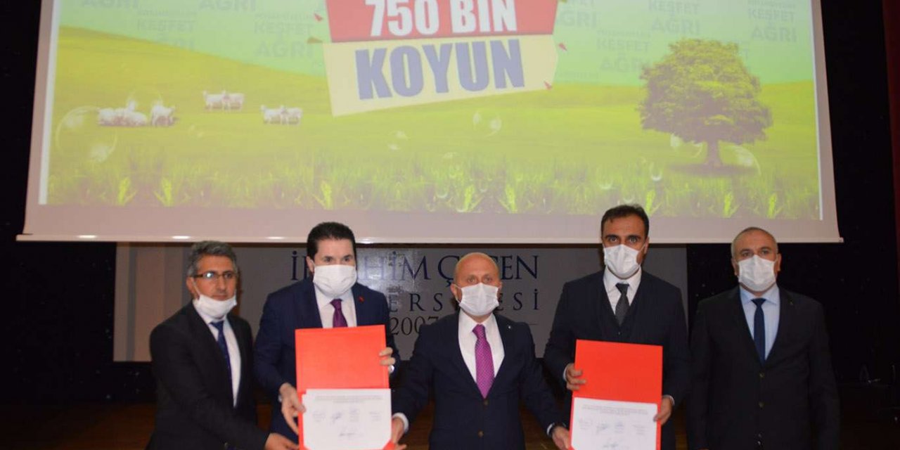 Ağrı'da 5 yılda 750 bin koyun projesinin protokolü imzalandı
