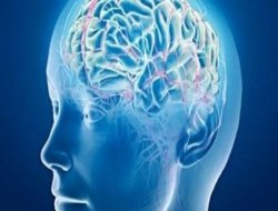 Uykusuzluk beyin hücrelerini etkiliyor